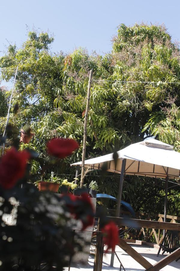 Bed and Breakfast La Casa Del Jardin Тустла-Гутьеррес Номер фото